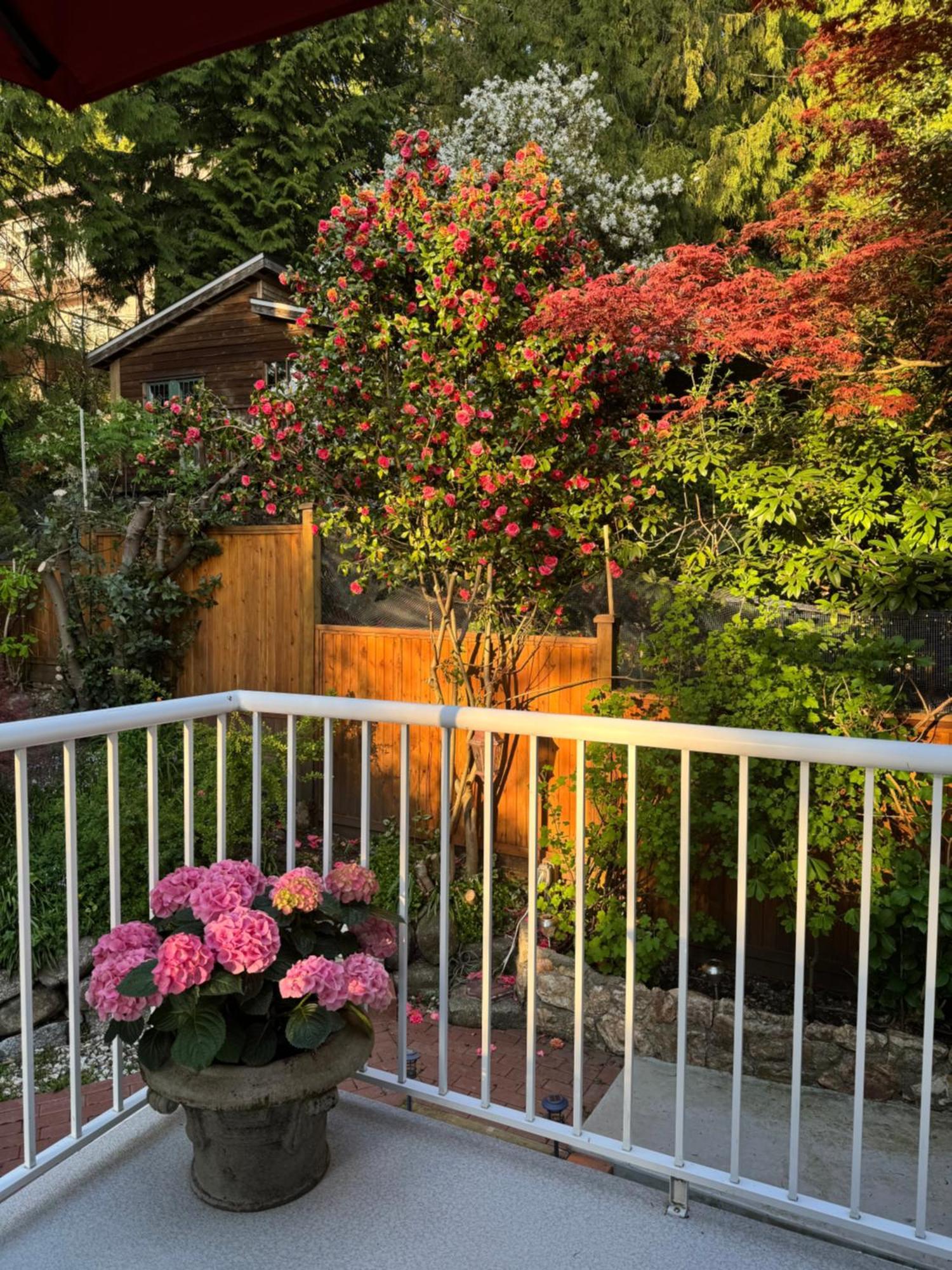 Beautiful Modern Suite Βόρειο Βανκούβερ Εξωτερικό φωτογραφία